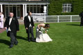 Wedding photo